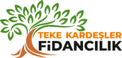 Teke Kardeşler Fidancılık